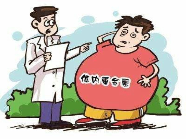 風(fēng)途食品重金屬檢測儀預防重金屬中毒